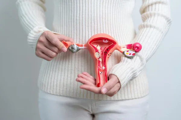 Vaginal Hysterectomy