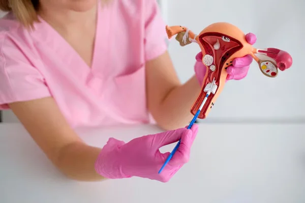 Pap Smear